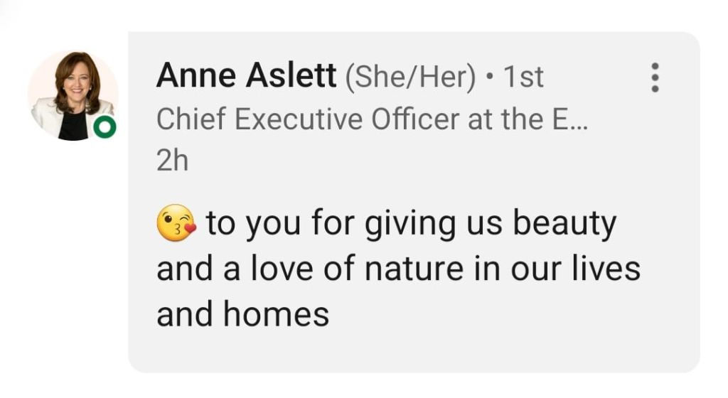 AnnAslet quote