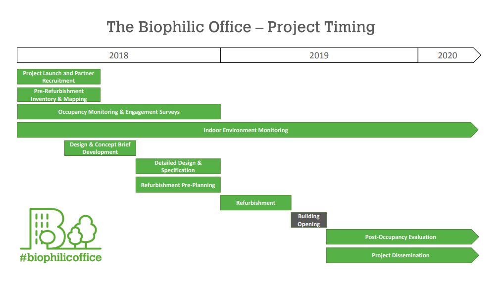 Biophilic Office timeline