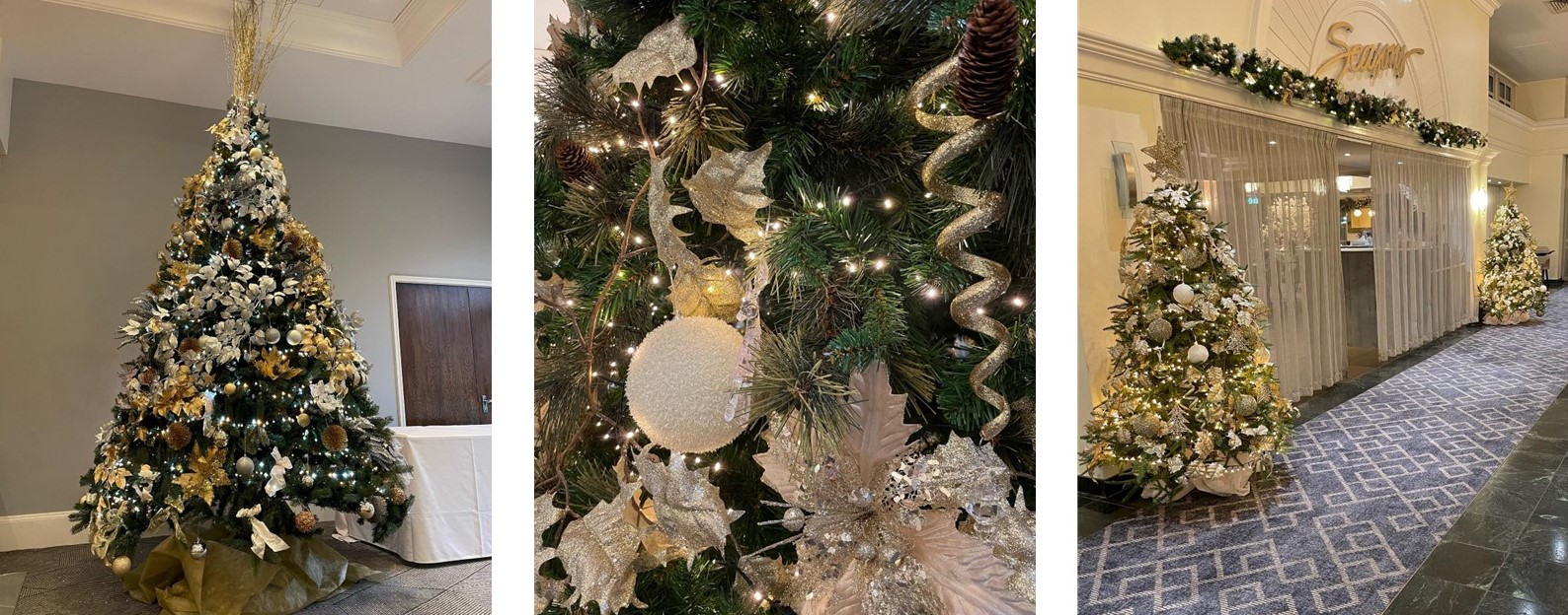 Elves UP Peterb various 2