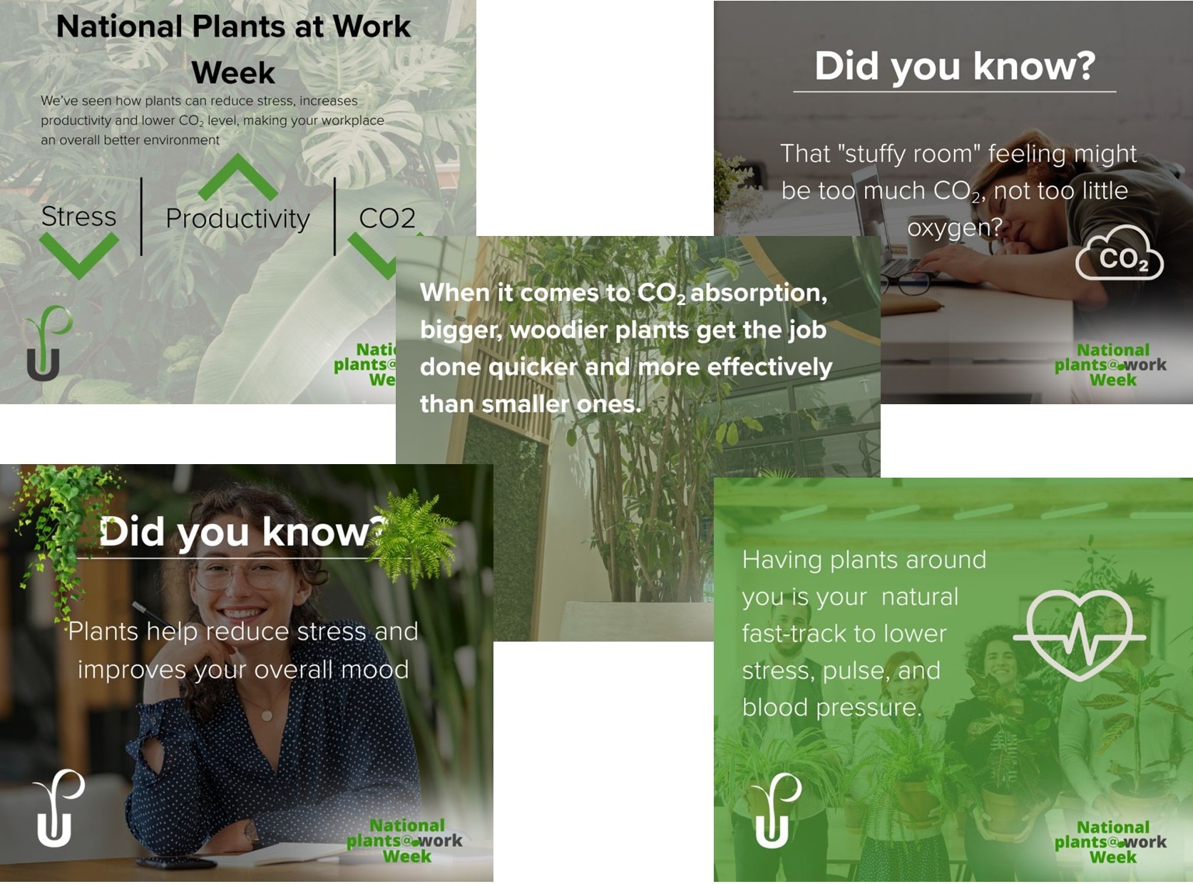 NPWW 2025 Social share 1