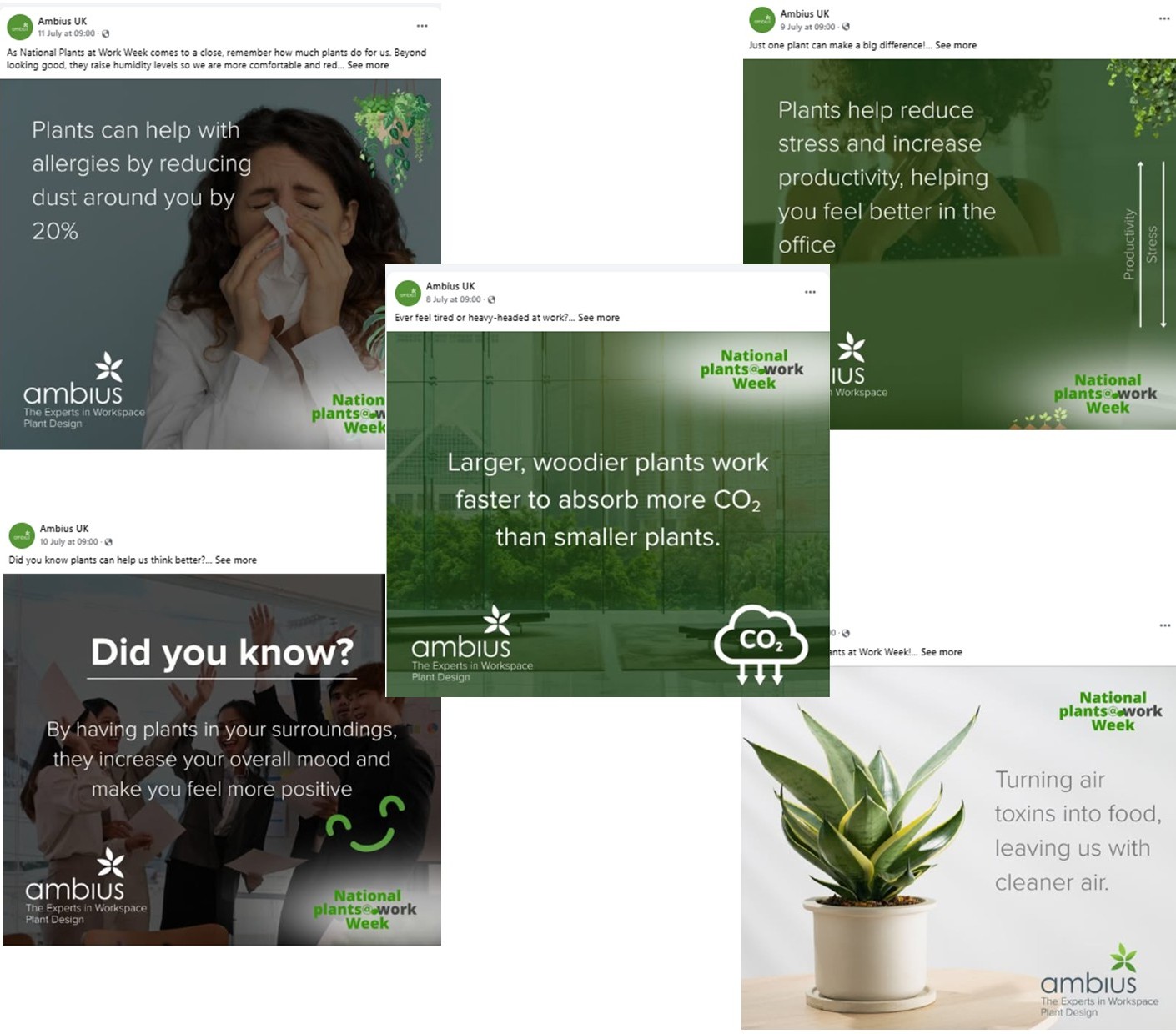 NPWW 2025 Social share 3