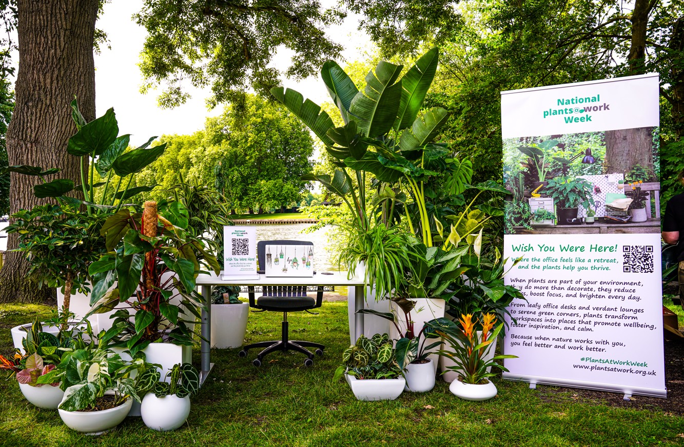 Wish you were here pic lr