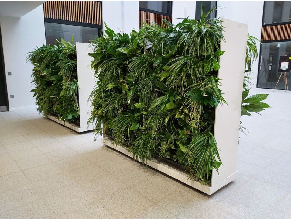 The Hive Green Greenscene 1