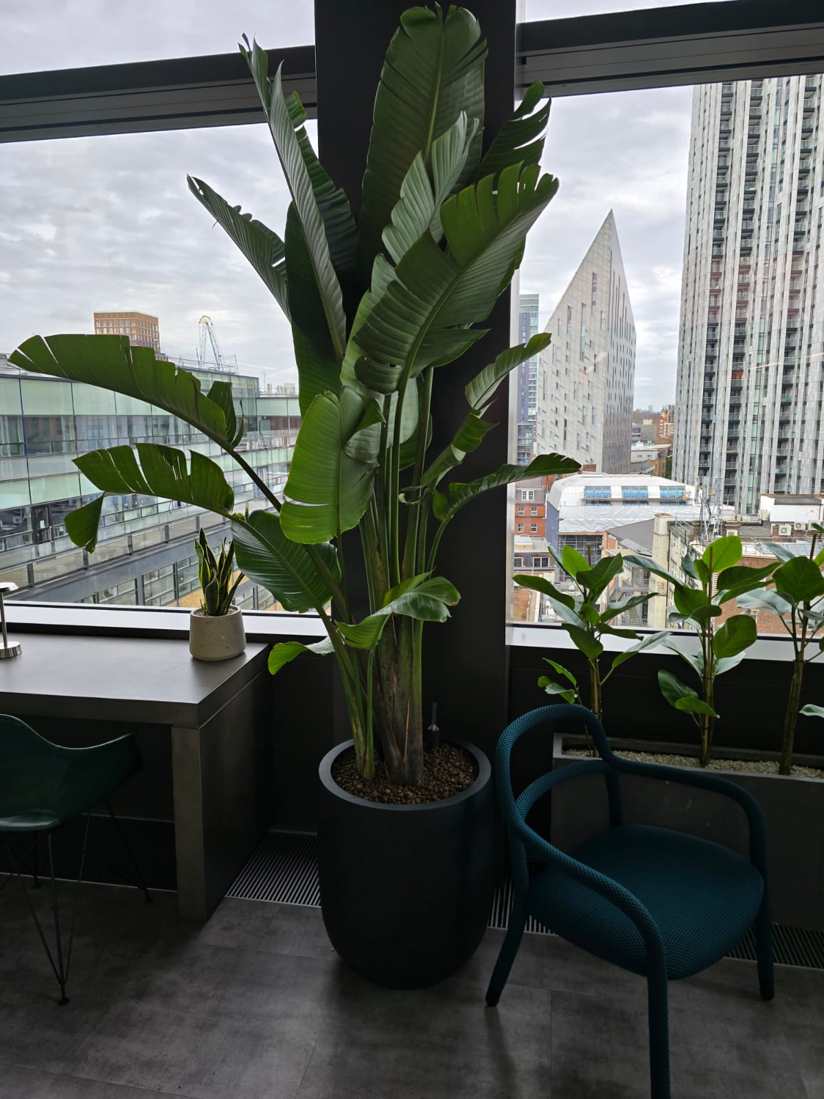 Fresha interior pots 6