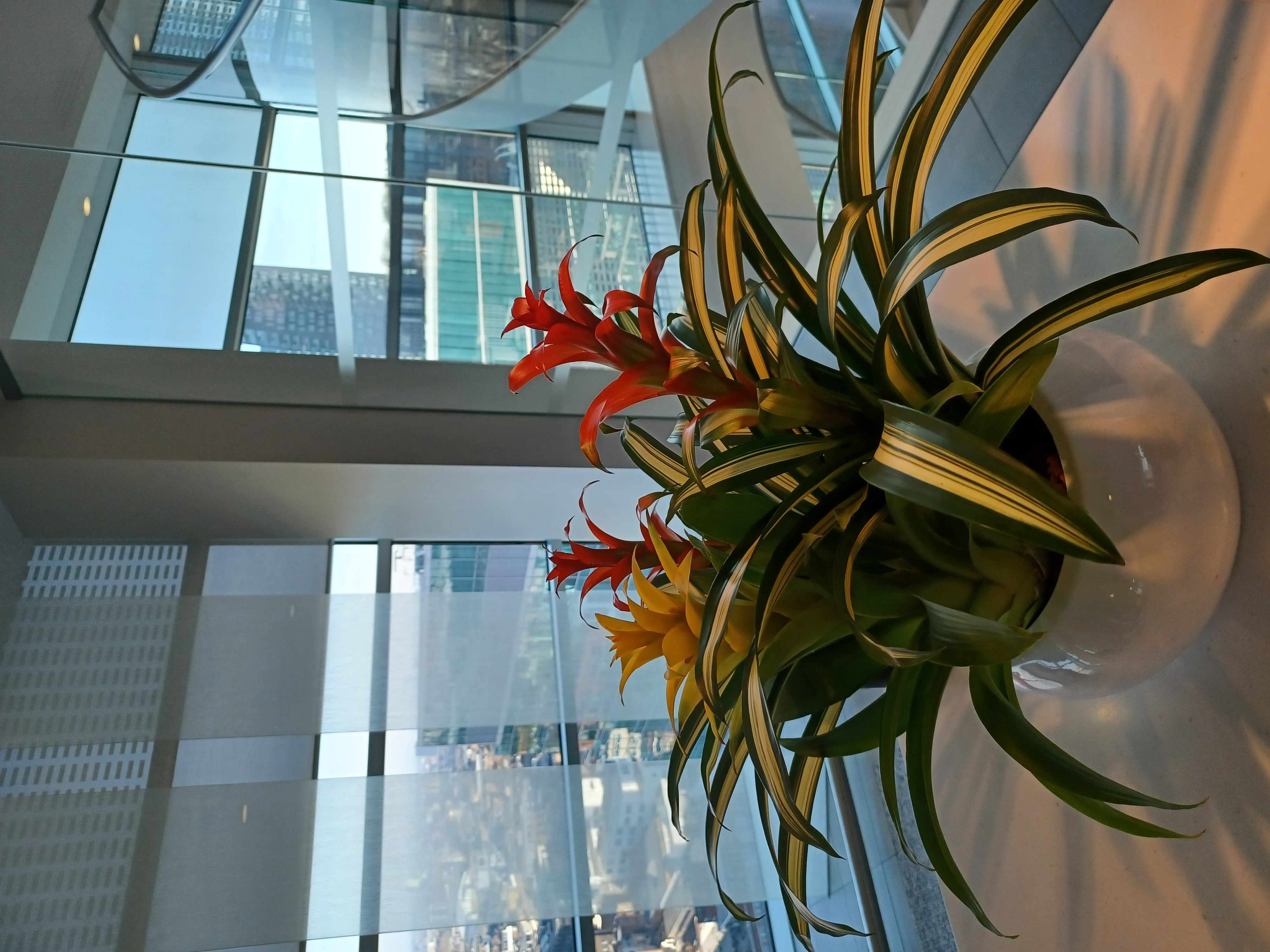 Pinsent Mason potted bowl