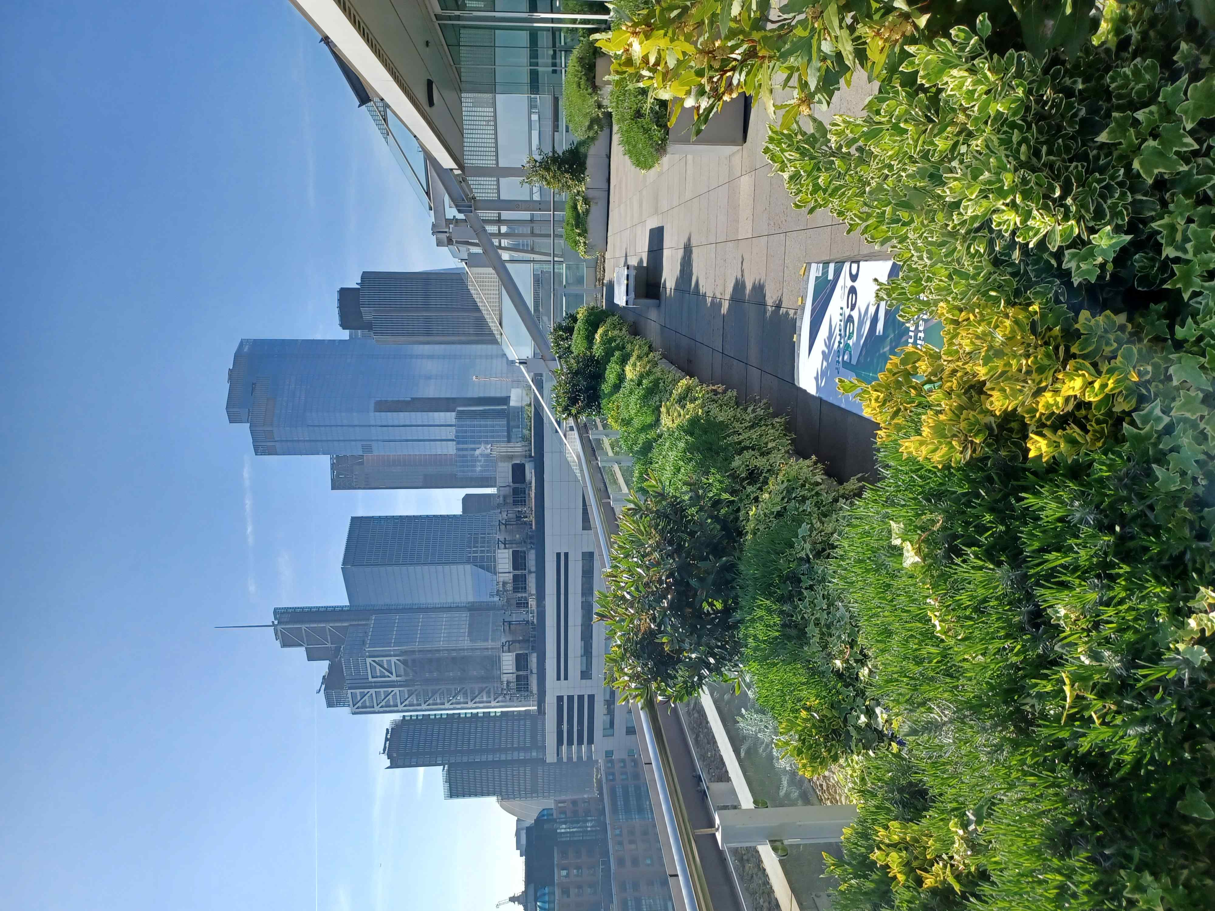 Pinsent Mason rooftop garden