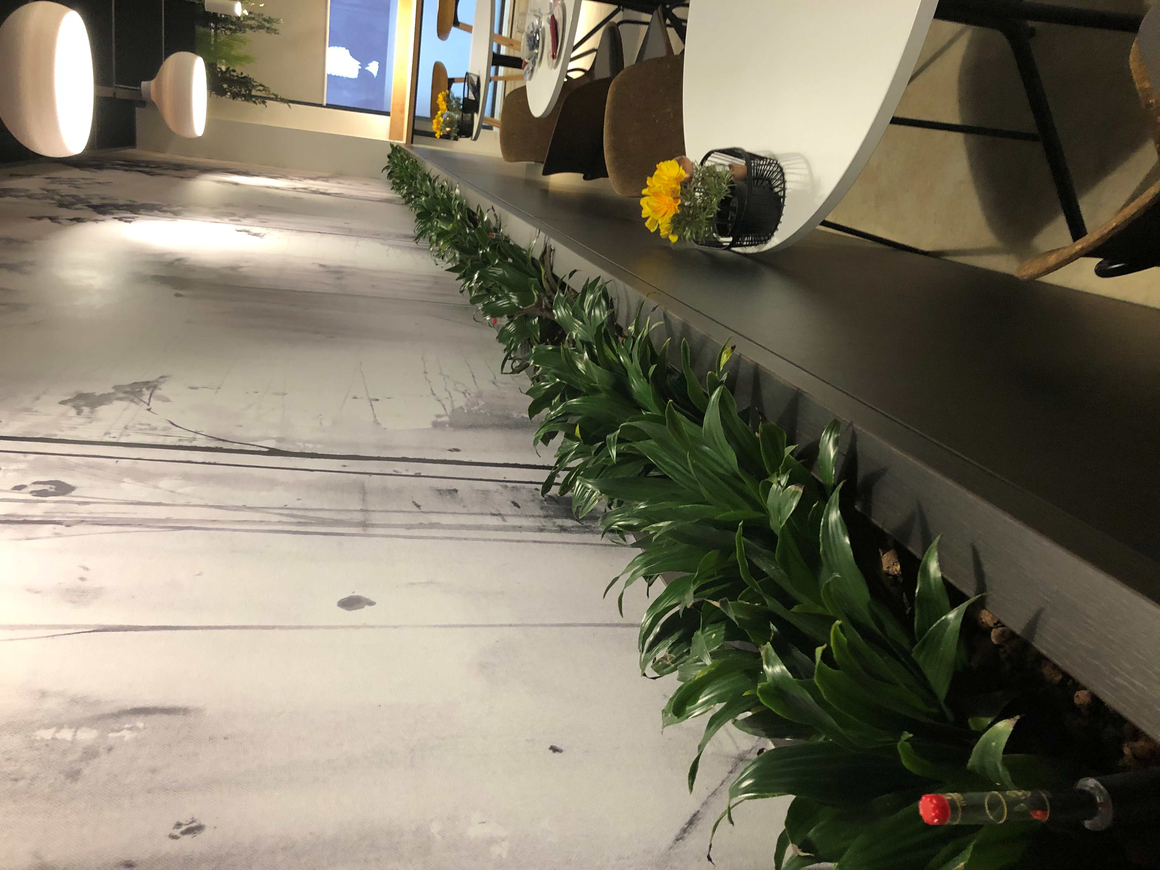 7. Wynne Construction CC Yale