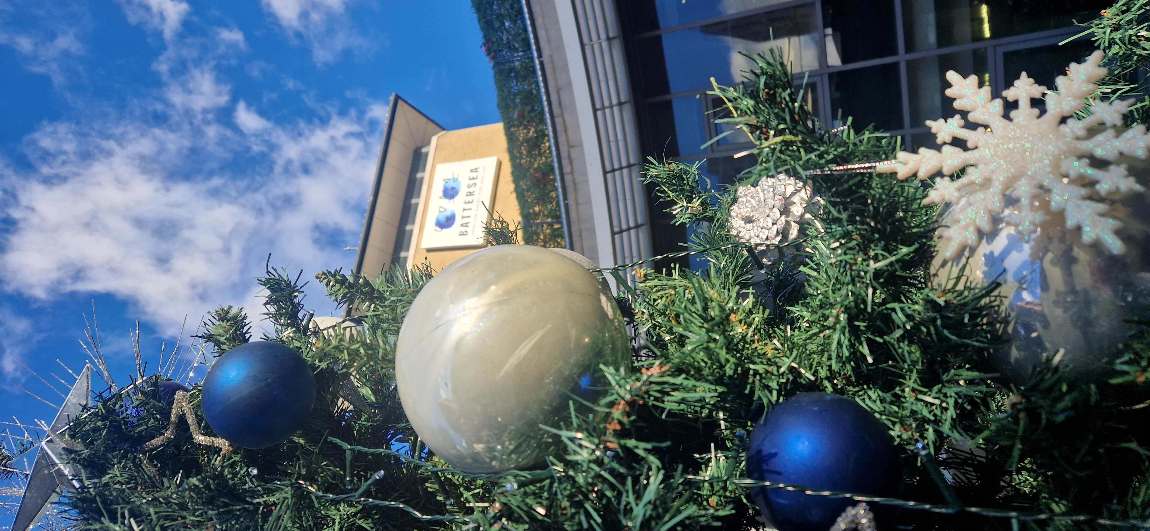 Battersea Christmas tree close up 2