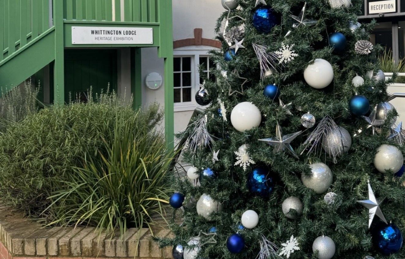 Battersea Christmas tree close up