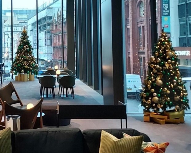 Colmore row Christmas trees