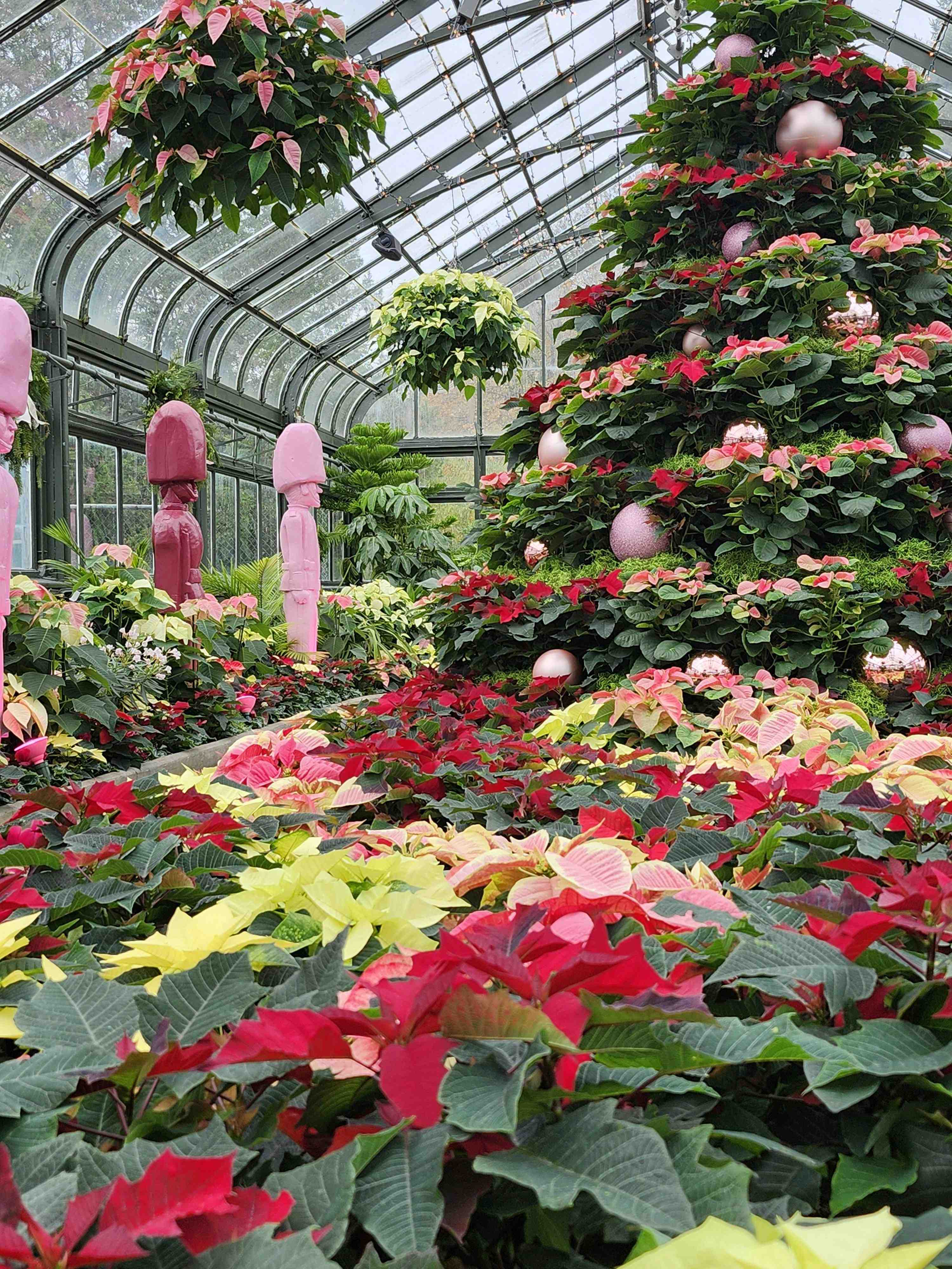 pexels alex ohan 204757441 29441787