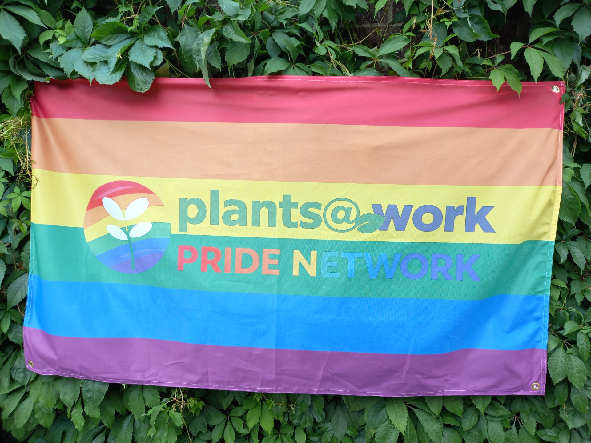 pride network flag